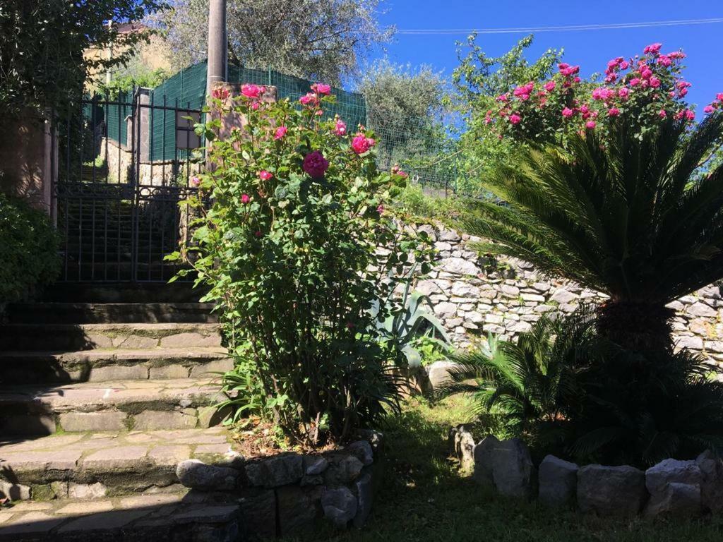 Tre Pini Apartment La Spezia Exteriér fotografie